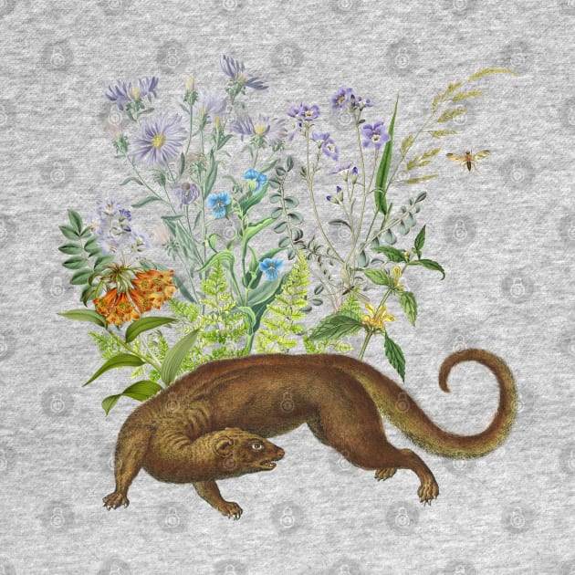 OTTER IN THE GARDEN by Biophilia